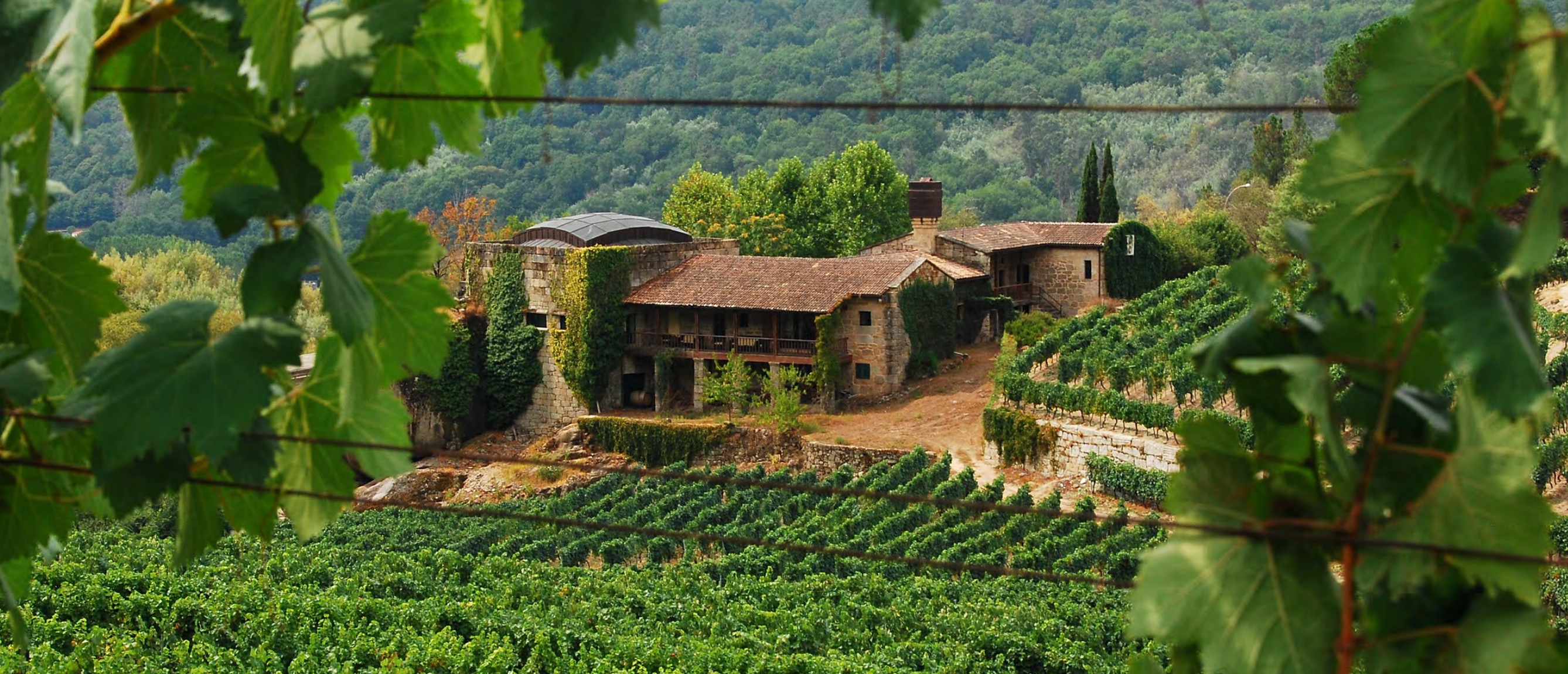 Son Cresp&iacute; — mas&iacute;a hist&oacute;rica con vi&ntilde;edo